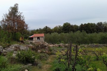 Casa isolata Krunica, foto 12